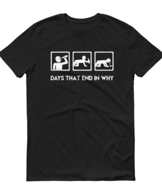 Alternative view of Days That End In Why